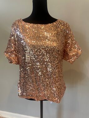 Sequin Short Sleeve Top - Rose pink pullover